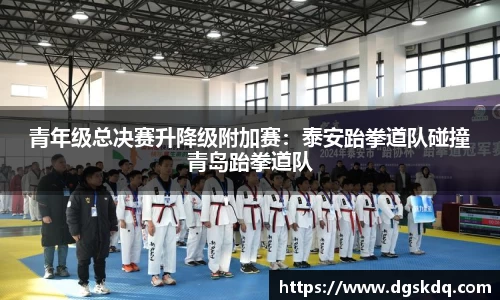 青年级总决赛升降级附加赛：泰安跆拳道队碰撞青岛跆拳道队